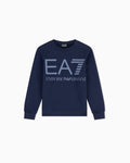 EA7 - Felpa