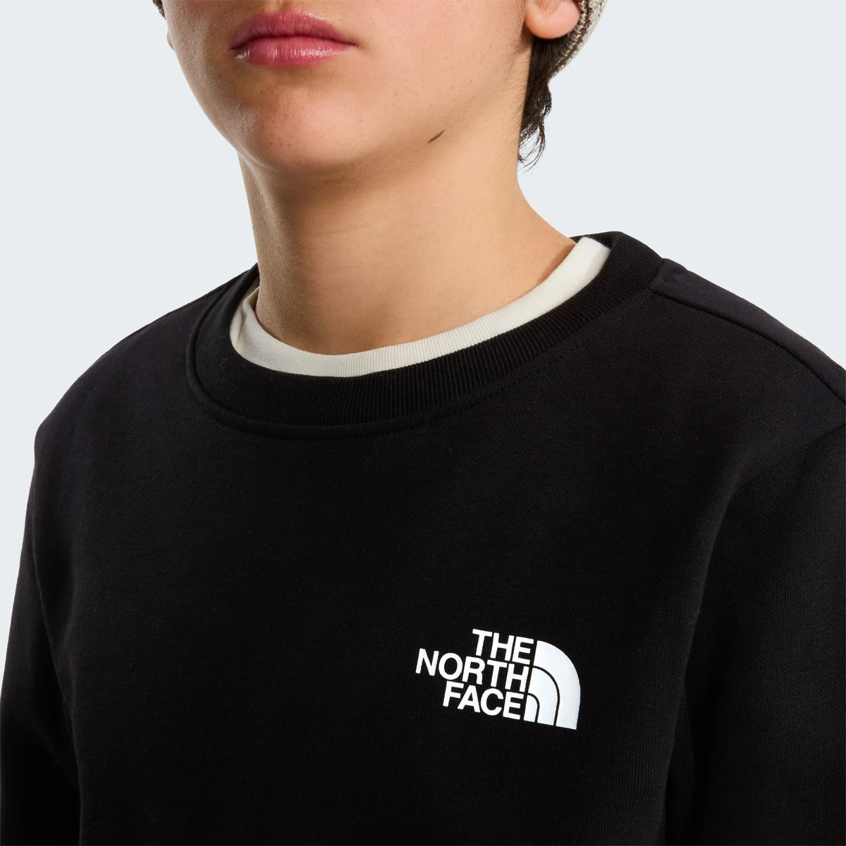The North Face - Felpa Teen Evolution Box Nse Crew