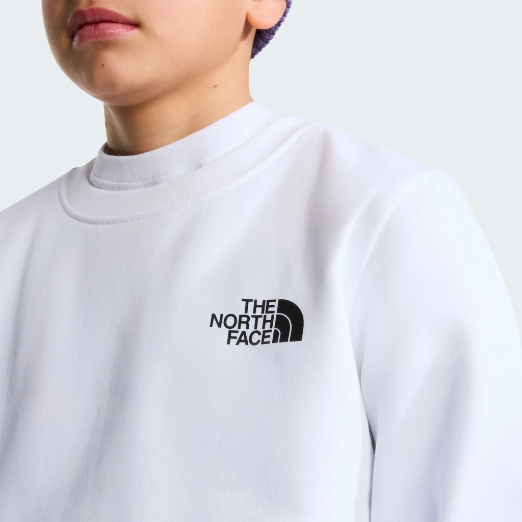 The North Face - Felpa Teen Evolution Box Nse Crew