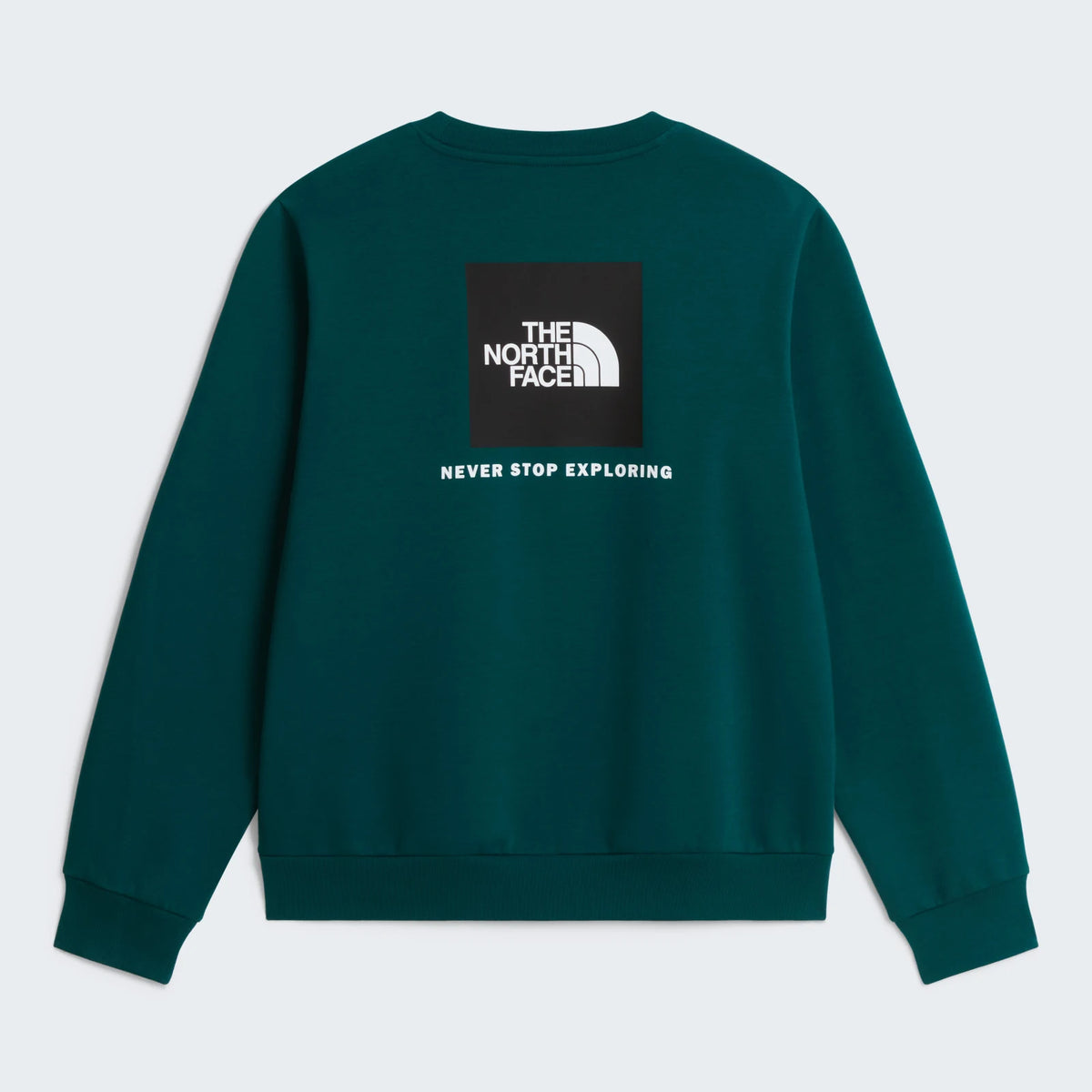 The North Face - Maglia Evolution Box Nse Regular Crew